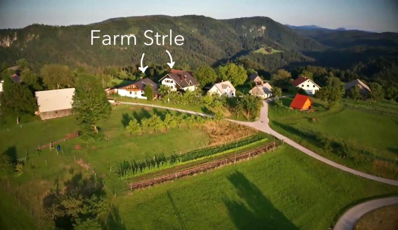 הוילה צרקניצה Tourist Farm Strle With Great Local Food מראה חיצוני תמונה