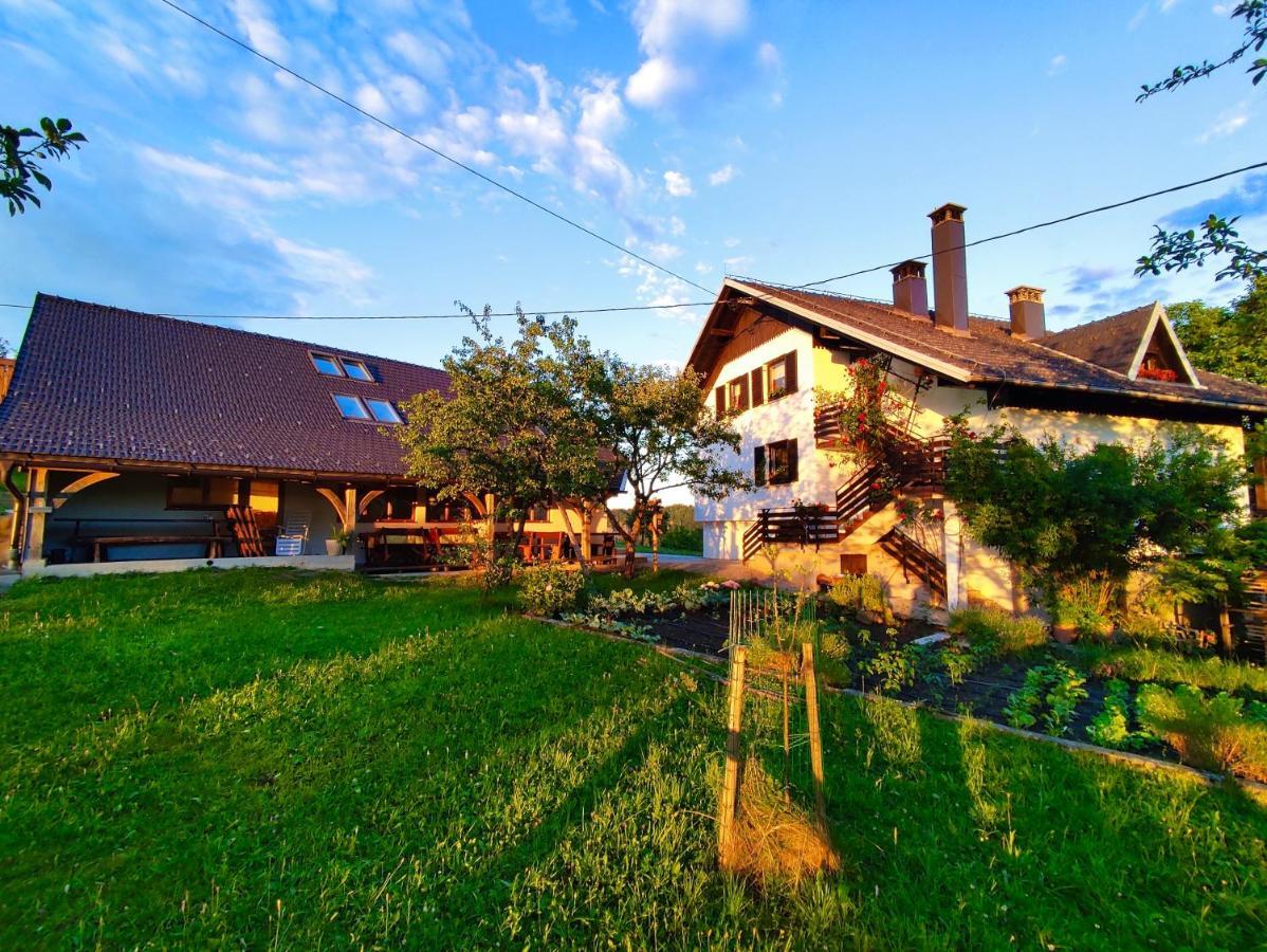הוילה צרקניצה Tourist Farm Strle With Great Local Food מראה חיצוני תמונה